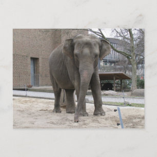 postal ELEPHANT