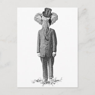Postal Elephant dandy