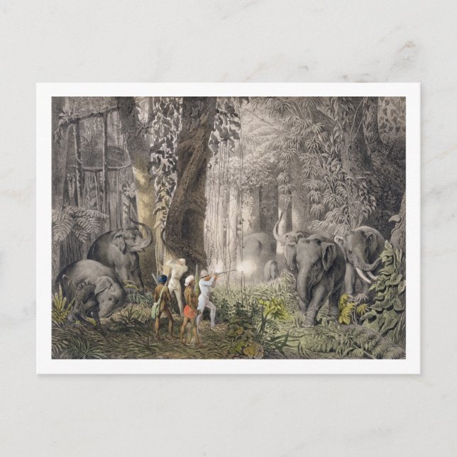 Postal Elephant hunt in the region of Logalla, from 'Trav (Anverso)