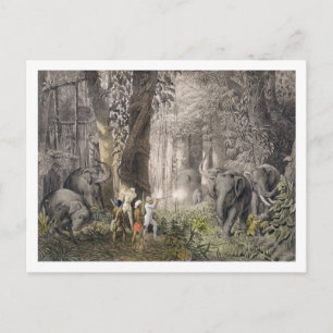 Postal Elephant hunt in the region of Logalla, from 'Trav