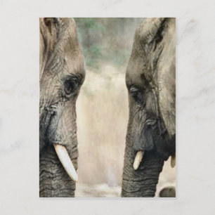 Postal Elephant Lovers Regalos de Arte