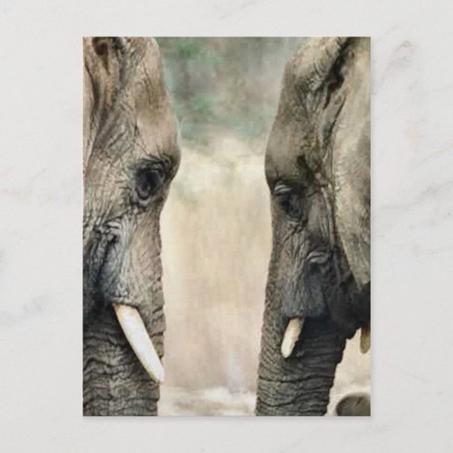 Postal Elephant Lovers Regalos de Arte (Anverso)