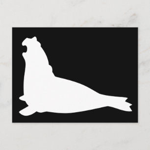 Postal Elephant Seol Postcard Whiteblack