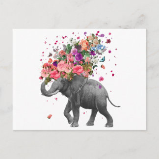 Postal Elephant Splash