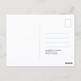 Postal Elephant Tree Postcard