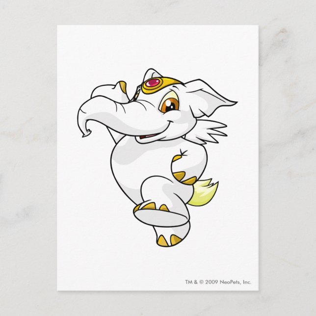 Postal Elephante White (Anverso)