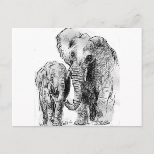 Postal elephantonajourney (Anverso)