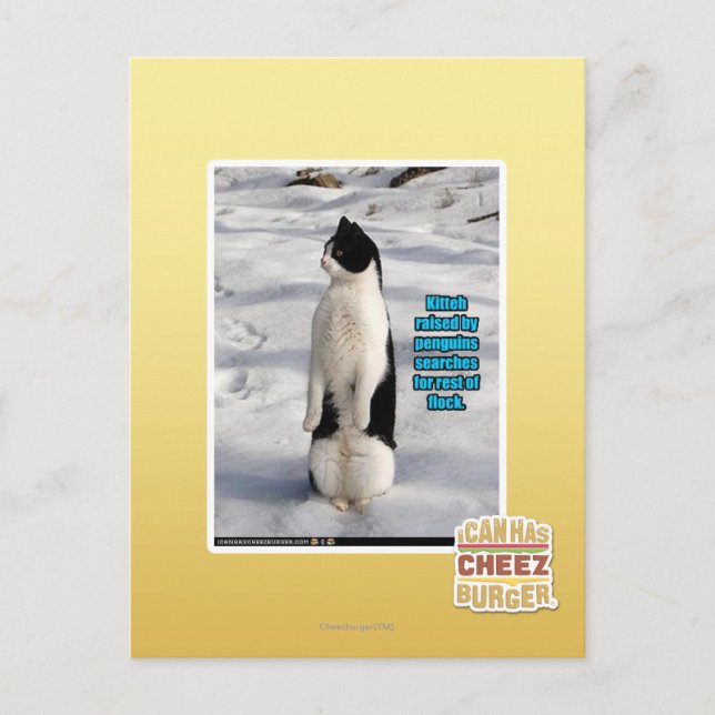 Postal Elevado por los pingüinos (Anverso)