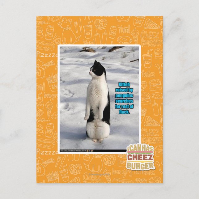 Postal Elevado por los pingüinos (Anverso)