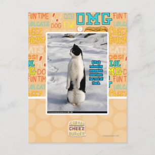 Postal Elevado por los pingüinos