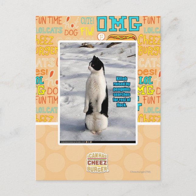 Postal Elevado por los pingüinos (Anverso)