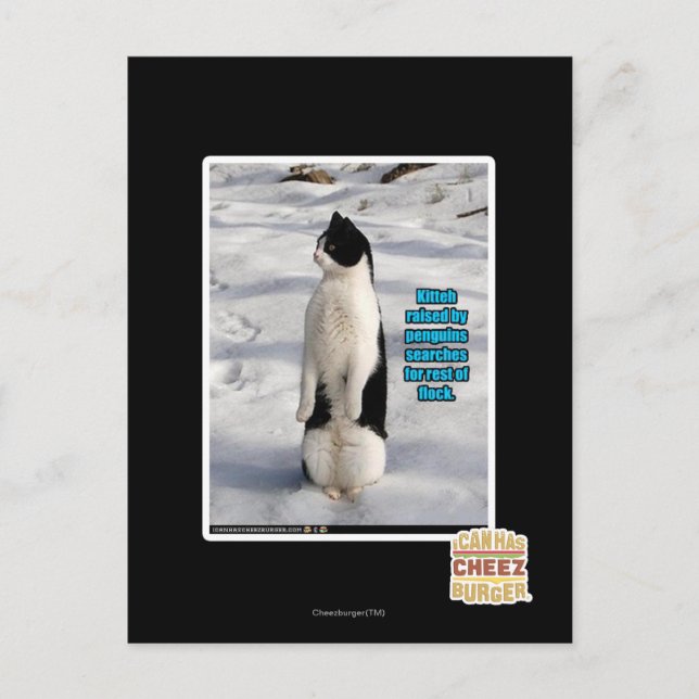 Postal Elevado por los pingüinos (Anverso)