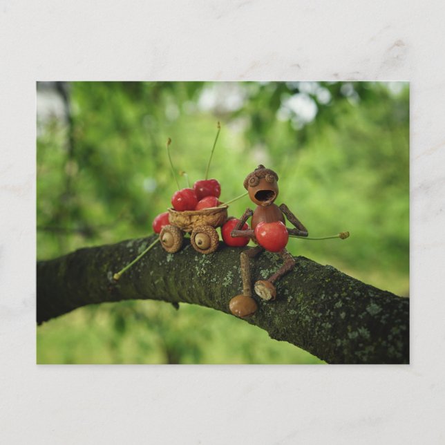 Postal Elfo de maíz comiendo cerezas en el verano del árb (Anverso)