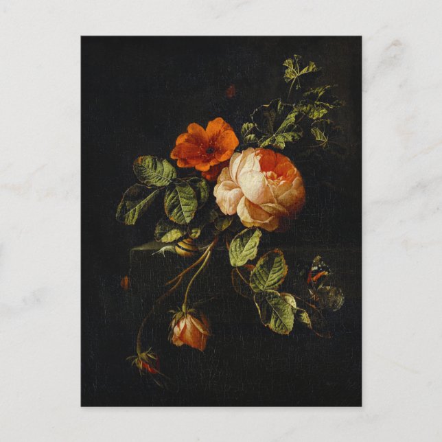 Postal Elias van den Broeck, Vida fija con Rosas (Anverso)