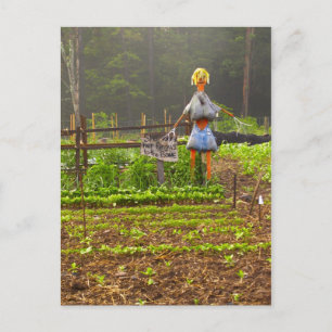 Postal Elige A Tus Propios Melones