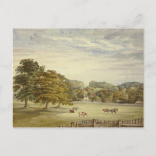 Postal Elizabeth Murray - Seis vacas brillando antes que 