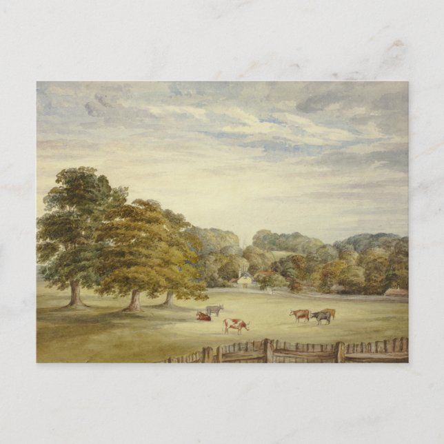 Postal Elizabeth Murray - Seis vacas brillando antes que  (Anverso)