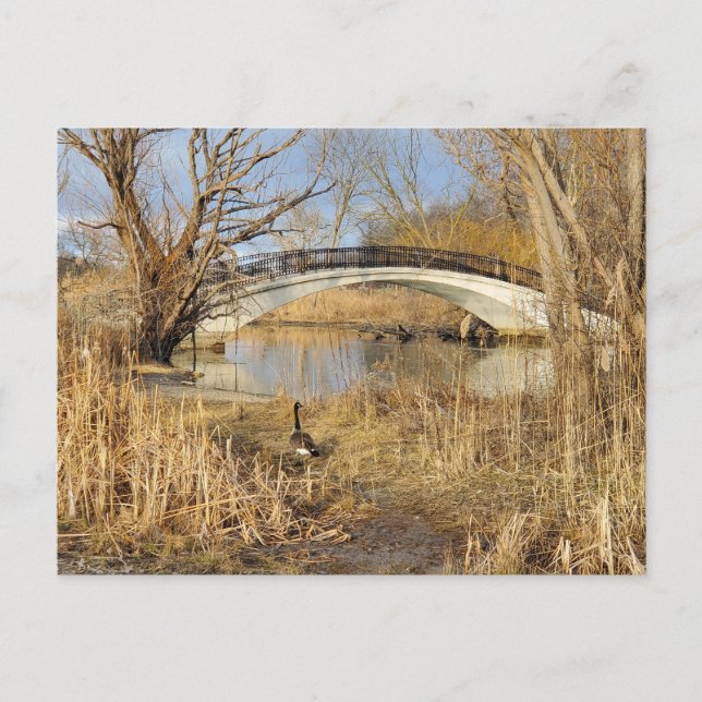 Postal Elizabeth Park, Trenton, Michigan (Anverso)