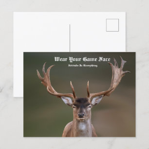 Postal Elk