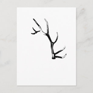 Postal Elk Antler