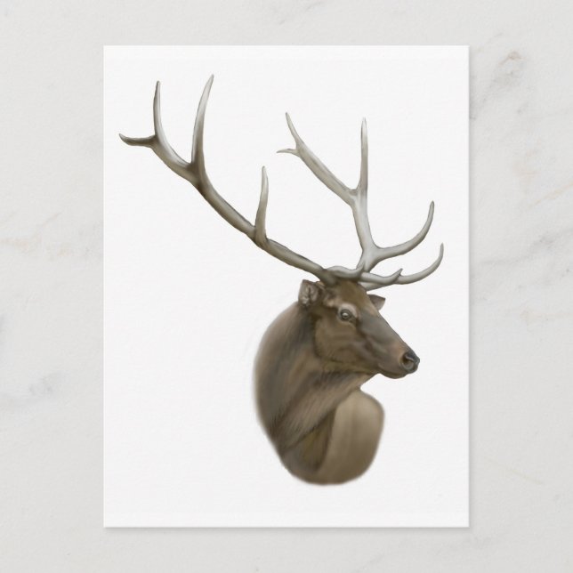 Postal Elk Buck (Anverso)