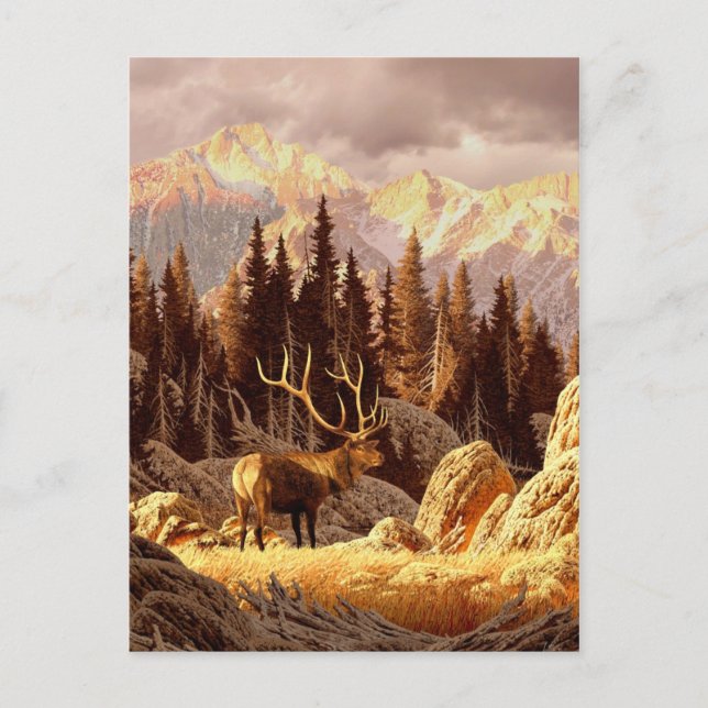 Postal Elk Bull (Anverso)