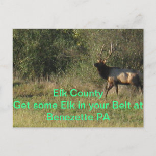 Postal Elk County Benezette PA