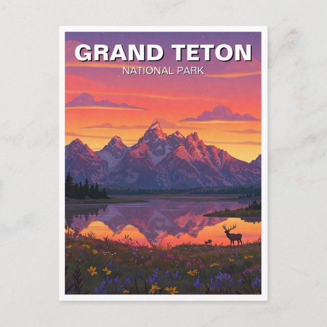 Postal Elk en el parque nacional de Grand Teton (Anverso)