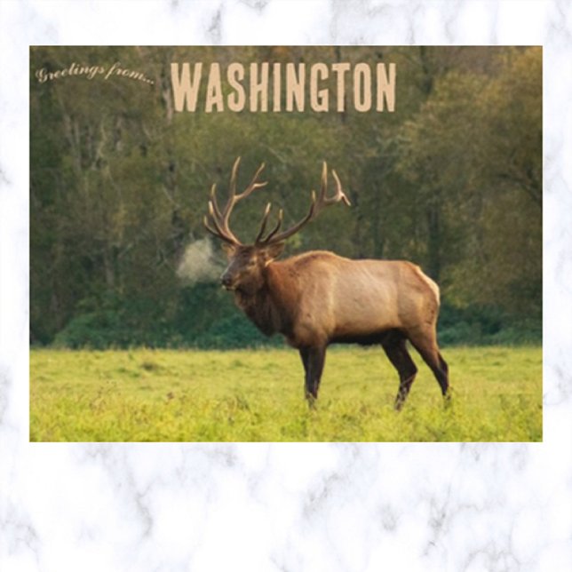 Postal Elk en Washington USA (Subido por el creador)