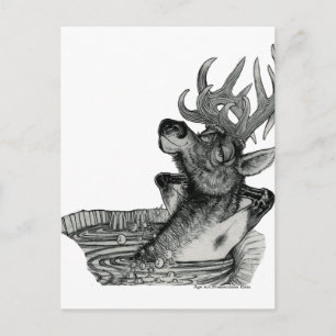 POSTAL ELK IN HOT