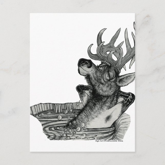 POSTAL ELK IN HOT (Anverso)