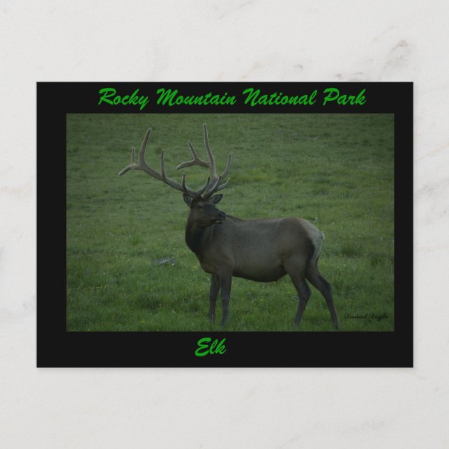 Postal Elk, paso Milner (Anverso)