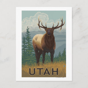 Postal Elk SceneUtah