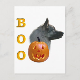 Postal Elkhound Boo noruego