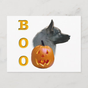 Postal Elkhound Boo noruego