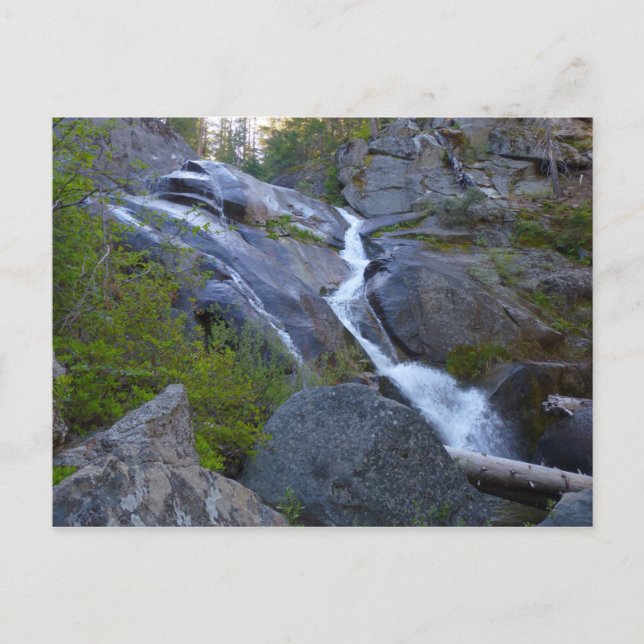 Postal Ella Falls en el Parque Nacional Sequoia (Anverso)
