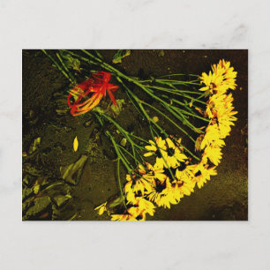 Postal ¡Ella No Me Ama!