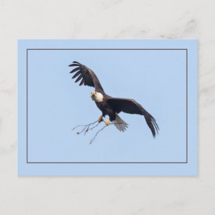 Postal Ella Tiene Un Palo