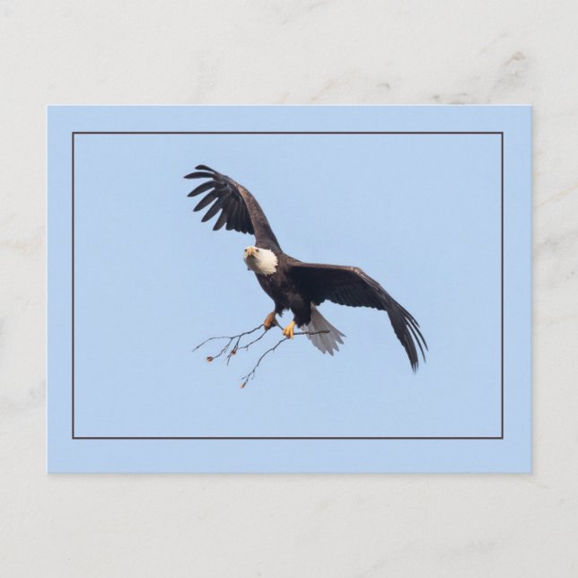 Postal Ella Tiene Un Palo (Anverso)