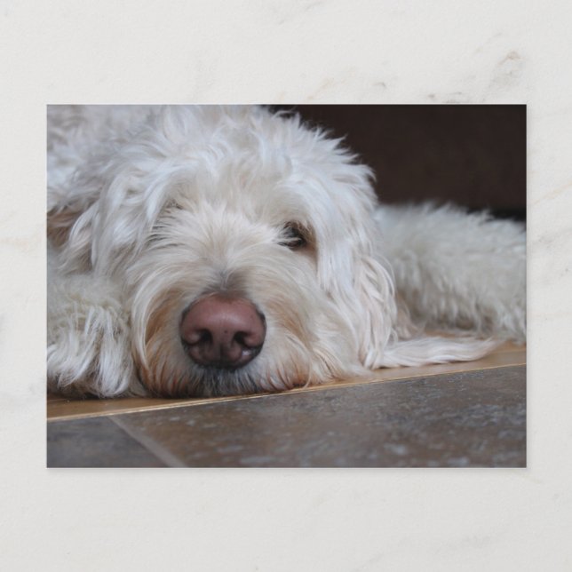 Postal Elliot (Anverso)