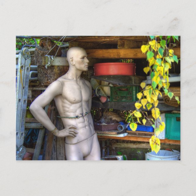 Postal Ellis Garden III (Anverso)