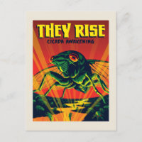 Ellos elevan el despertar de la Cicada