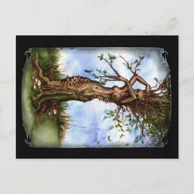 Postal Elm Maid (Anverso)