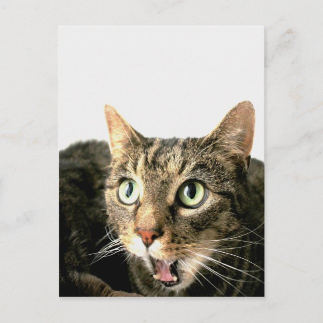 Postal Elvis (Anverso)