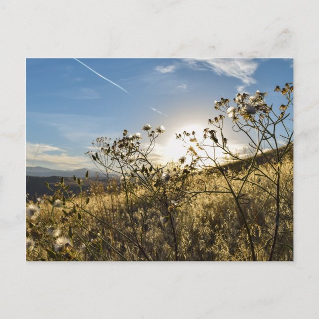 Postal Embalse de Caballos (Anverso)