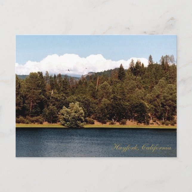 Postal Embalse de Ewing en primavera.... (Anverso)