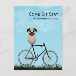 Postal Embarque de perros, paseos, sentados, entrenamient