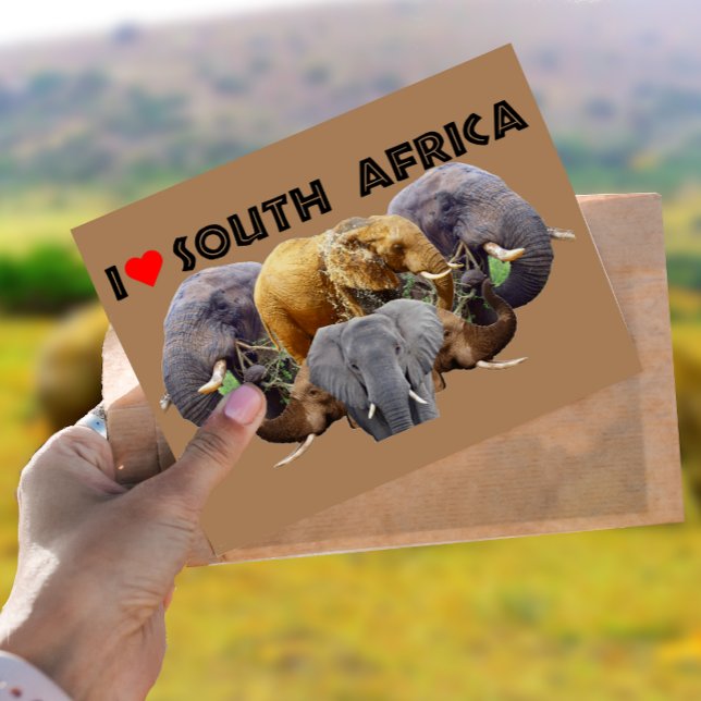 Postal Emblema del elefante sudafricano de corazón (Subido por el creador)