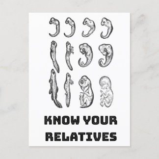 Postal Embriogénesis de la evolución