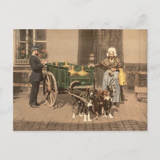 Postal Embutidos flamencos (Anverso)